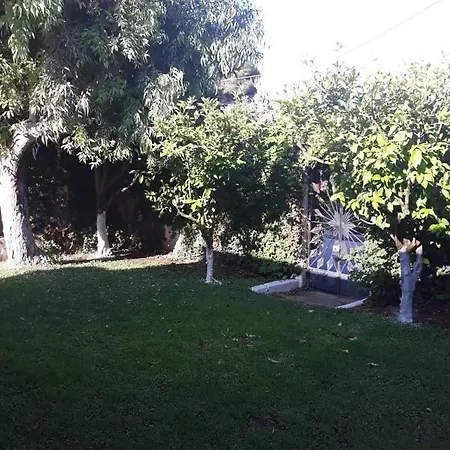 Anesis-παραθαλάσσια Amaliada