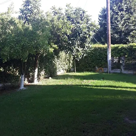 Anesis-παραθαλάσσια * Amaliada