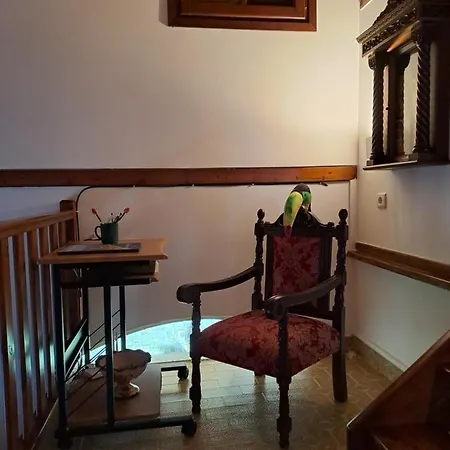 Βίλα Anesis-παραθαλάσσια *