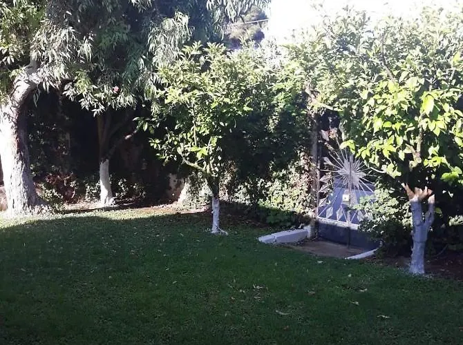 Anesis-παραθαλάσσια Amaliada