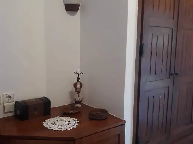 Anesis-παραθαλάσσια Αμαλιάδα