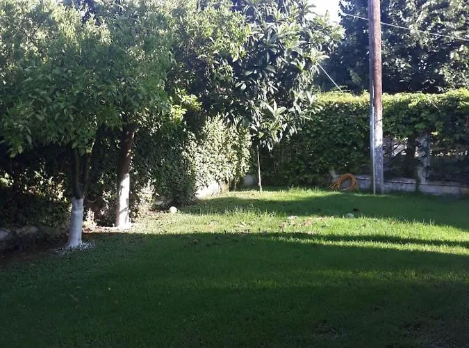 Anesis-παραθαλάσσια * Amaliada