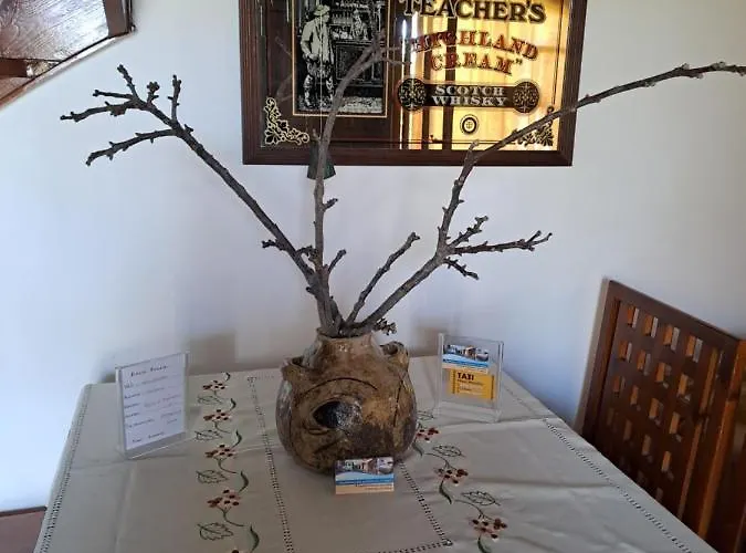 Anesis-παραθαλάσσια * Αμαλιάδα